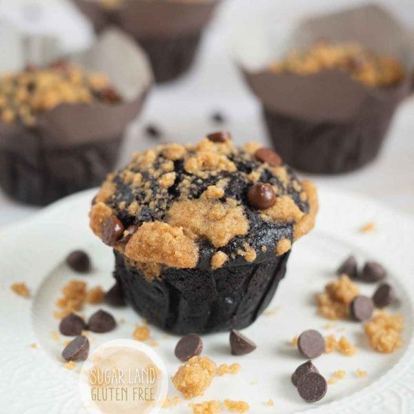 Gluten free dairy free chocolate muffin