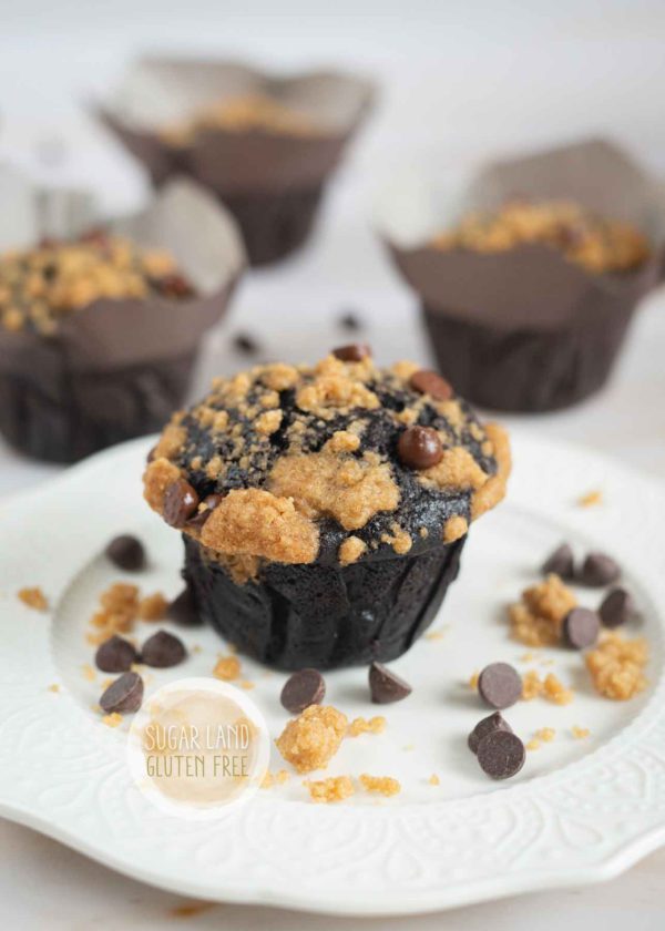 Gluten free dairy free chocolate muffin